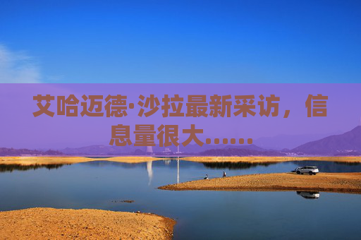 艾哈迈德·沙拉最新采访，信息量很大……