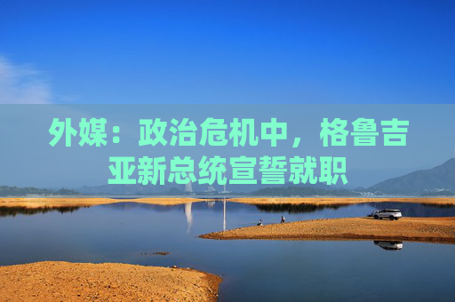 外媒：政治危机中，格鲁吉亚新总统宣誓就职