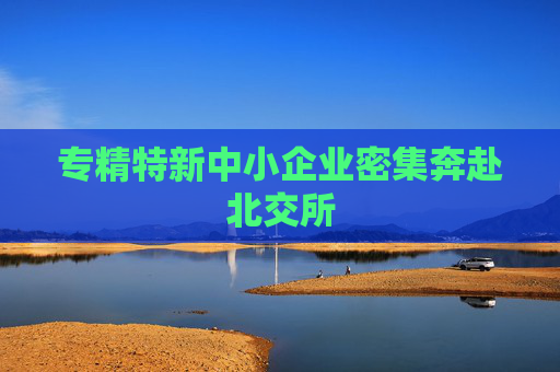 专精特新中小企业密集奔赴北交所