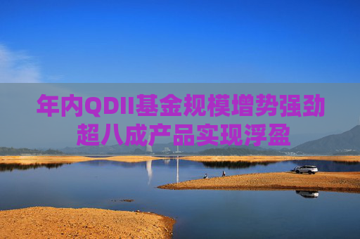 年内QDII基金规模增势强劲 超八成产品实现浮盈