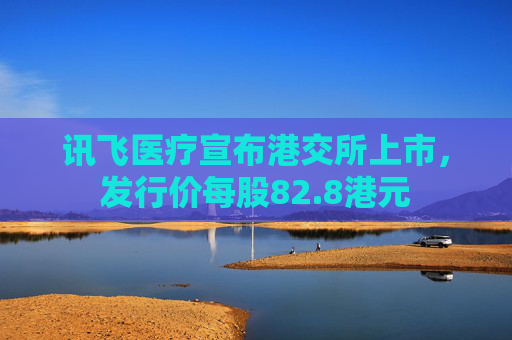 讯飞医疗宣布港交所上市，发行价每股82.8港元