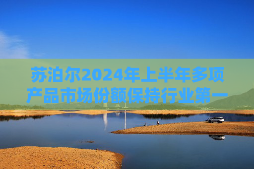 苏泊尔2024年上半年多项产品市场份额保持行业第一 外销收入亮眼同比增长39.29%