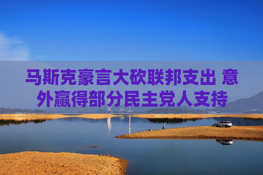 马斯克豪言大砍联邦支出 意外赢得部分民主党人支持