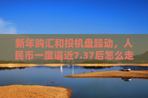 新年购汇和投机盘躁动，人民币一度逼近7.37后怎么走？