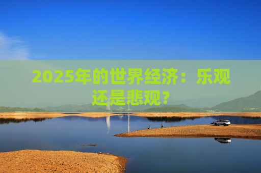 2025年的世界经济：乐观还是悲观？