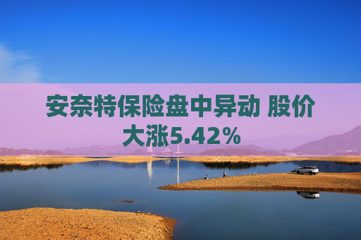 安奈特保险盘中异动 股价大涨5.42%