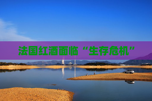 法国红酒面临“生存危机”