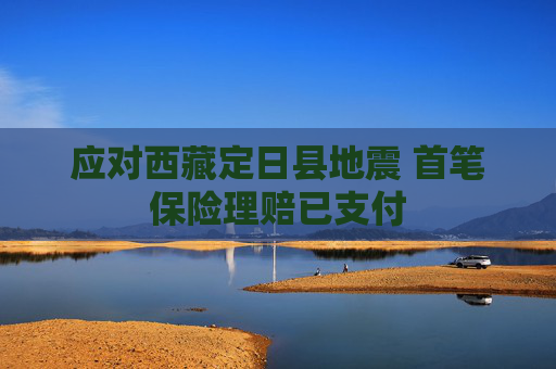 应对西藏定日县地震 首笔保险理赔已支付