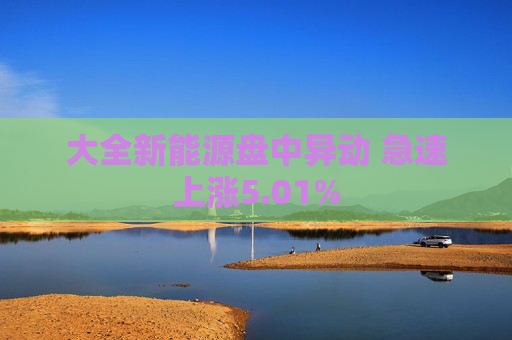 大全新能源盘中异动 急速上涨5.01%