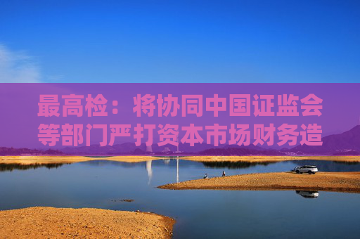 最高检：将协同中国证监会等部门严打资本市场财务造假各类犯罪