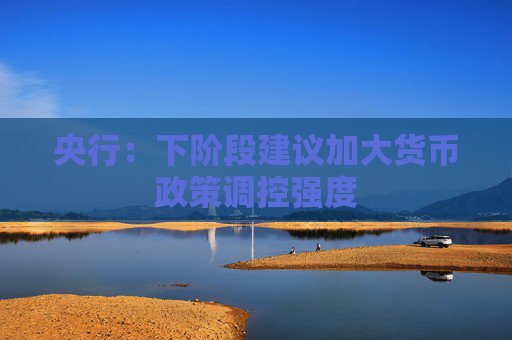 央行：下阶段建议加大货币政策调控强度