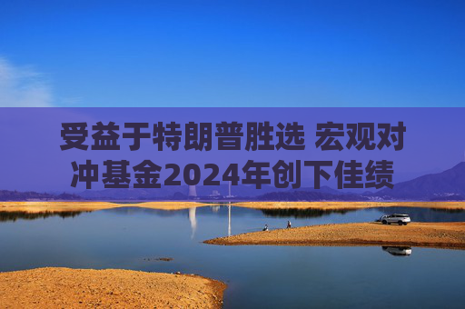 受益于特朗普胜选 宏观对冲基金2024年创下佳绩