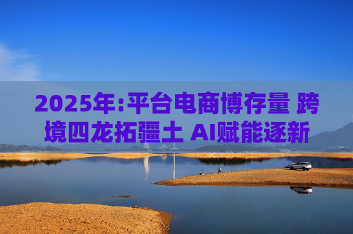 2025年:平台电商博存量 跨境四龙拓疆土 AI赋能逐新王