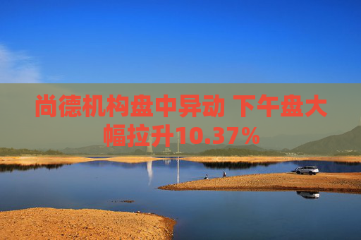 尚德机构盘中异动 下午盘大幅拉升10.37%