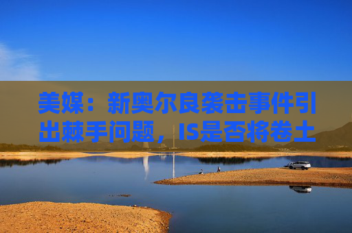 美媒：新奥尔良袭击事件引出棘手问题，IS是否将卷土重来？