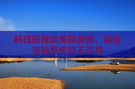 科技股推动美股反弹，纳指与标普终结五连跌