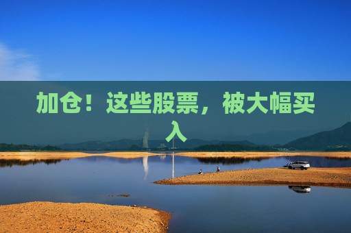 加仓！这些股票，被大幅买入