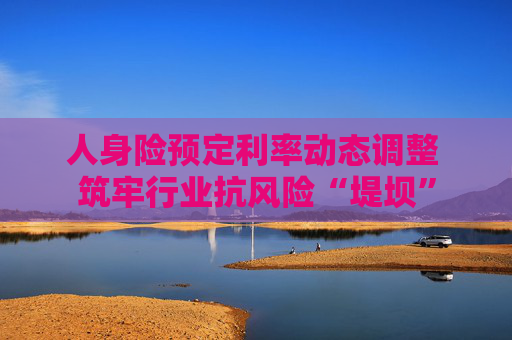 人身险预定利率动态调整 筑牢行业抗风险“堤坝”
