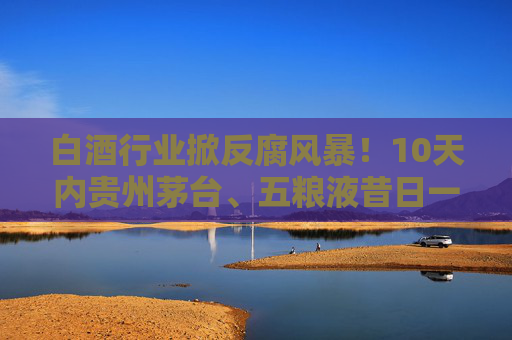 白酒行业掀反腐风暴！10天内贵州茅台、五粮液昔日一把手先后落马