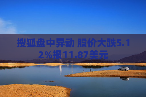 搜狐盘中异动 股价大跌5.12%报11.87美元