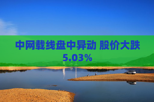 中网载线盘中异动 股价大跌5.03%