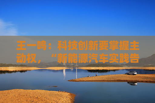 王一鸣：科技创新要掌握主动权，“新能源汽车实践告诉我们能够超越”