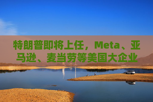 特朗普即将上任，Meta、亚马逊、麦当劳等美国大企业终止或缩减多元化项目