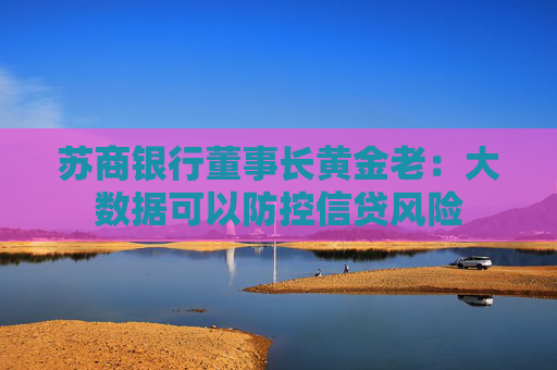 苏商银行董事长黄金老：大数据可以防控信贷风险