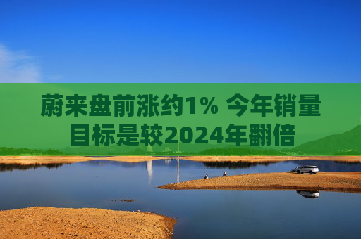 蔚来盘前涨约1% 今年销量目标是较2024年翻倍