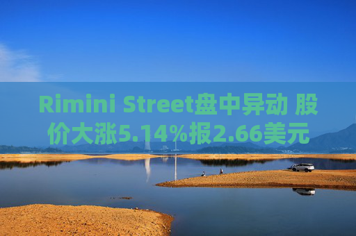 Rimini Street盘中异动 股价大涨5.14%报2.66美元