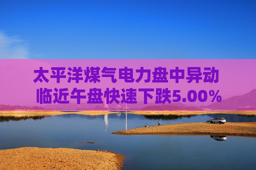 太平洋煤气电力盘中异动 临近午盘快速下跌5.00%