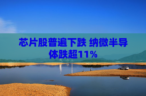 芯片股普遍下跌 纳微半导体跌超11%