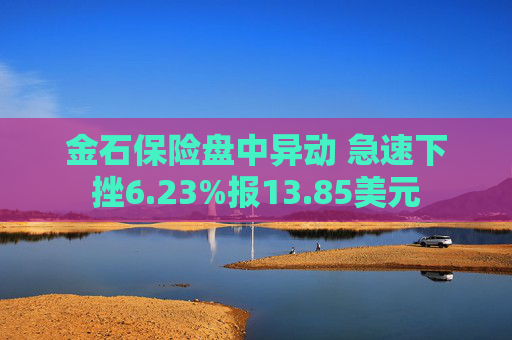 金石保险盘中异动 急速下挫6.23%报13.85美元