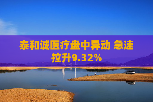 泰和诚医疗盘中异动 急速拉升9.32%
