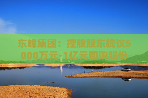 东峰集团：控股股东提议5000万元-1亿元回购股份