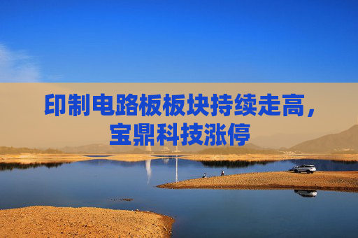 印制电路板板块持续走高，宝鼎科技涨停