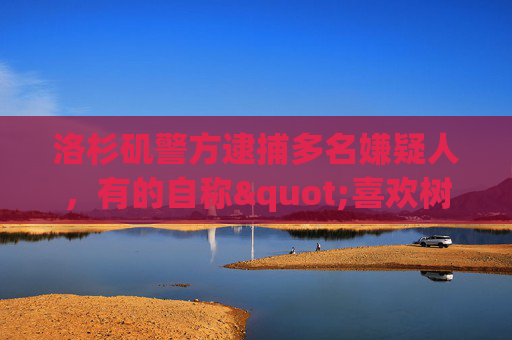 洛杉矶警方逮捕多名嫌疑人，有的自称"喜欢树叶燃烧气味"，有的“享受制造混乱”