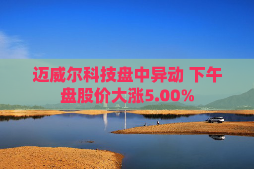 迈威尔科技盘中异动 下午盘股价大涨5.00%