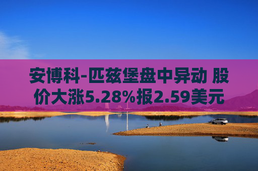 安博科-匹兹堡盘中异动 股价大涨5.28%报2.59美元