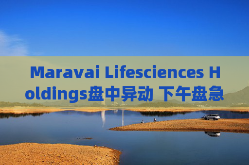 Maravai Lifesciences Holdings盘中异动 下午盘急速上涨5.03%报4.80美元