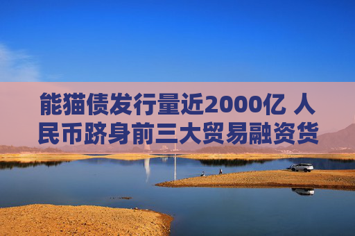 能猫债发行量近2000亿 人民币跻身前三大贸易融资货币