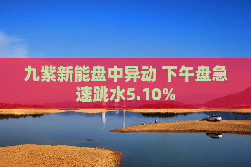 九紫新能盘中异动 下午盘急速跳水5.10%