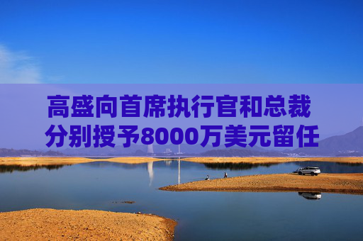 高盛向首席执行官和总裁 分别授予8000万美元留任奖励