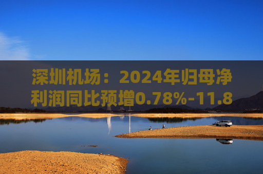 深圳机场：2024年归母净利润同比预增0.78%-11.88%
