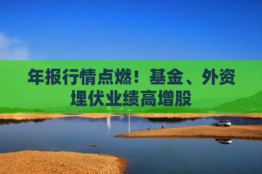 年报行情点燃！基金、外资埋伏业绩高增股