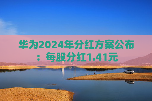 华为2024年分红方案公布：每股分红1.41元