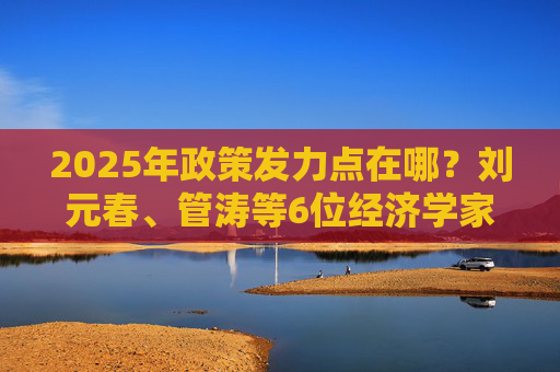 2025年政策发力点在哪？刘元春、管涛等6位经济学家最新建言