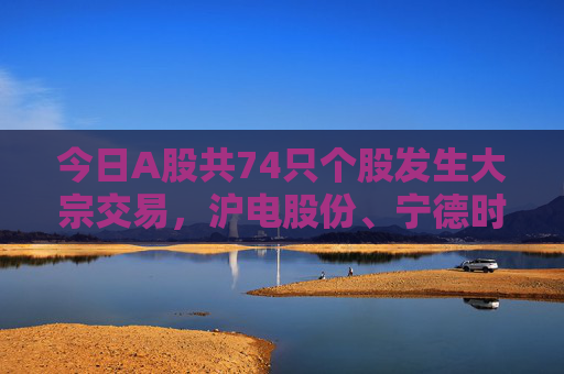 今日A股共74只个股发生大宗交易，沪电股份、宁德时代、金发科技成交额居前