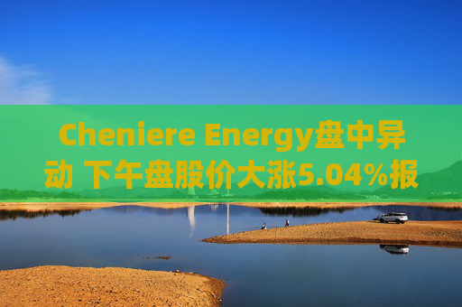 Cheniere Energy盘中异动 下午盘股价大涨5.04%报241.01美元