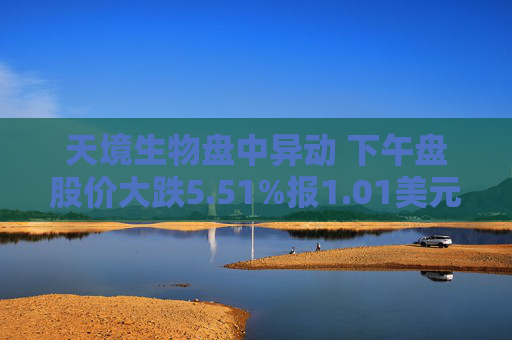 天境生物盘中异动 下午盘股价大跌5.51%报1.01美元